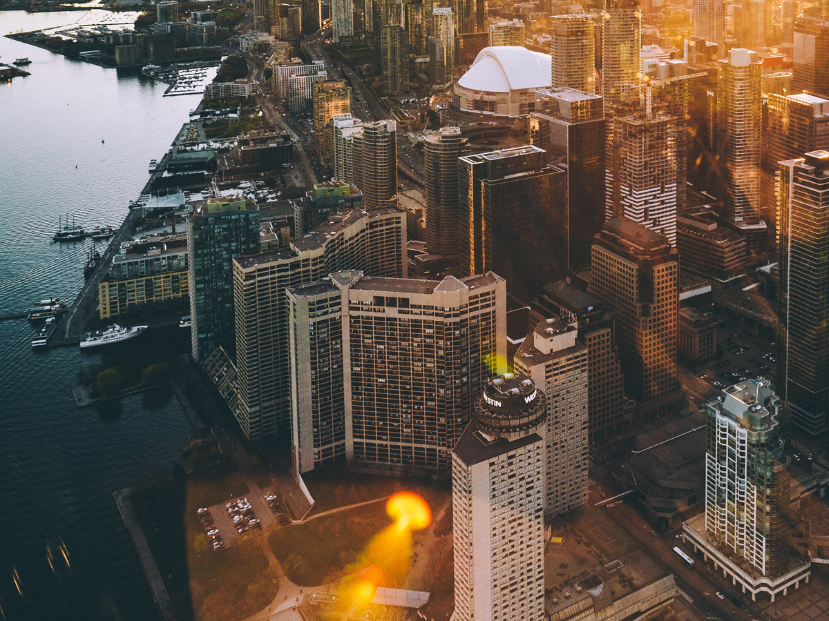 Construction of buildings leads the profit